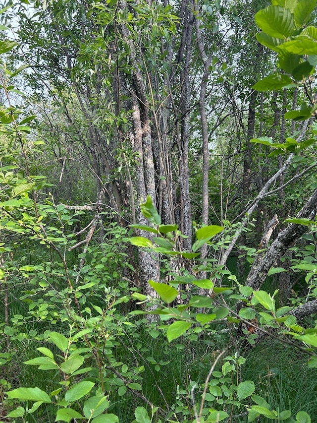 TBD 53rd Ave SW, Williams, MN 56686