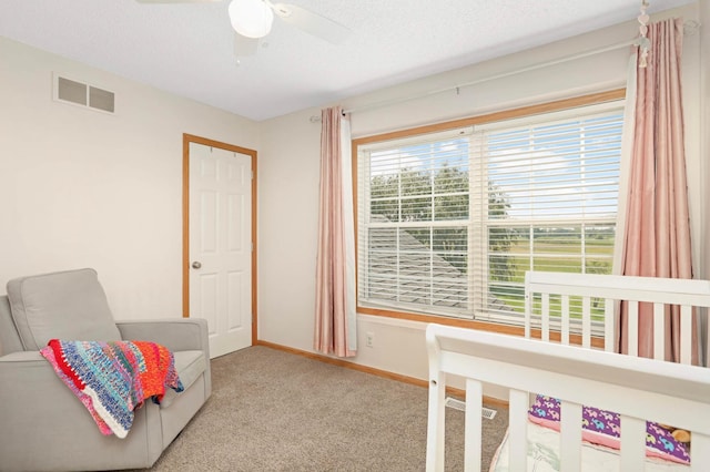 5055 149th St N Unit 2, Hugo, MN 55038 - living area with carpet flooring, ceiling fan, and a textured ceiling
