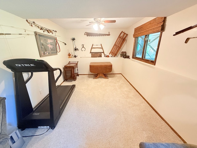 7829 Lois Ln, Circle Pines, MN 55014 - photo 17