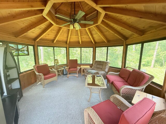 7829 Lois Ln, Circle Pines, MN 55014 - photo 26