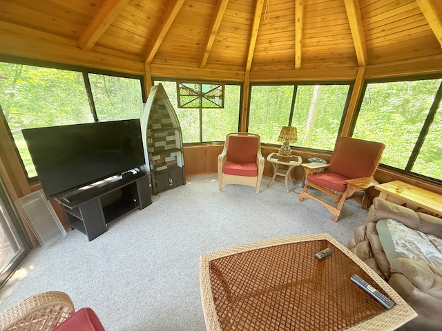 7829 Lois Ln, Circle Pines, MN 55014 - photo 27