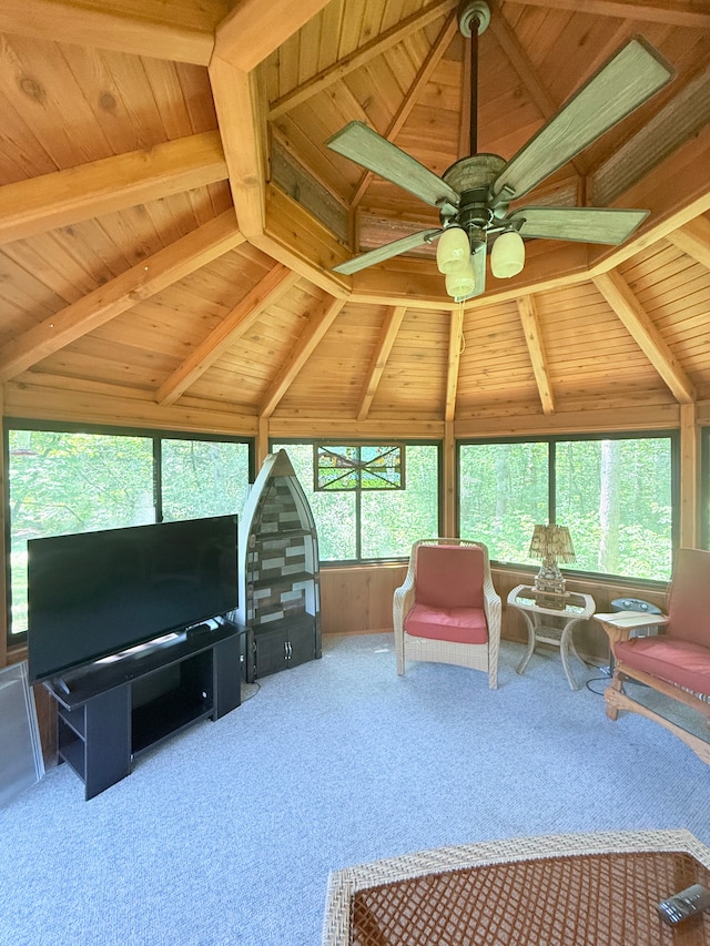 7829 Lois Ln, Circle Pines, MN 55014 - photo 28