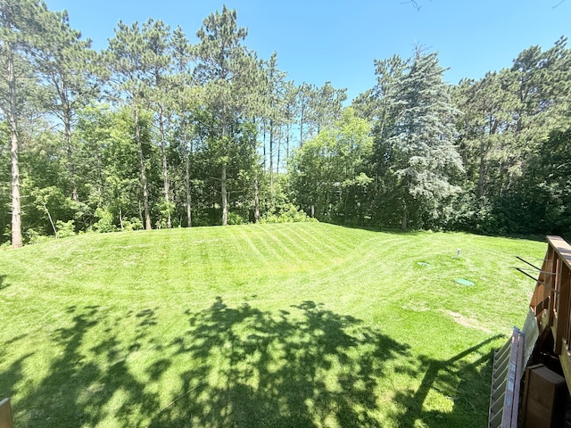 7829 Lois Ln, Circle Pines, MN 55014 - photo 31