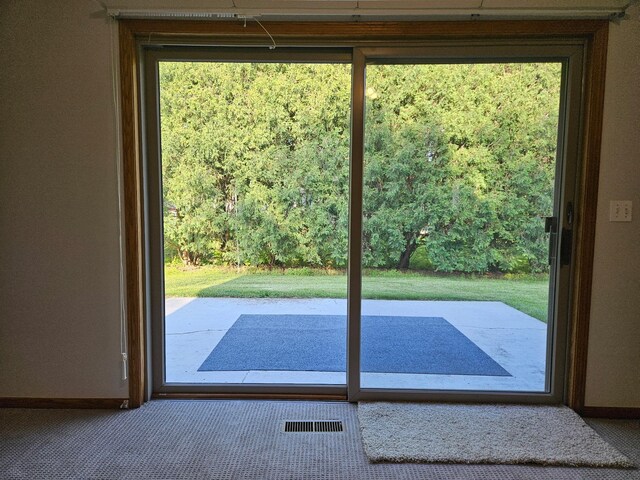 2705 9th St SW, Willmar, MN 56201 - doorway featuring carpet and healthy amount of natural light