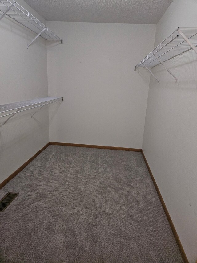 2705 9th St SW, Willmar, MN 56201 - spacious closet featuring carpet flooring