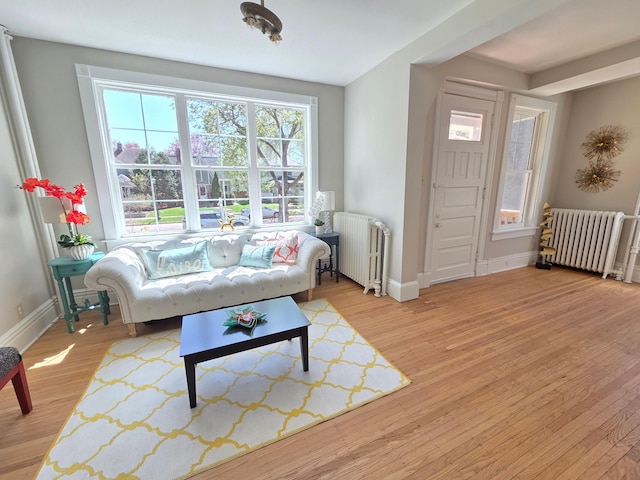 1323 Lincoln Ave, Saint Paul, MN 55105 - living area with radiator, baseboards, and light wood-type flooring
