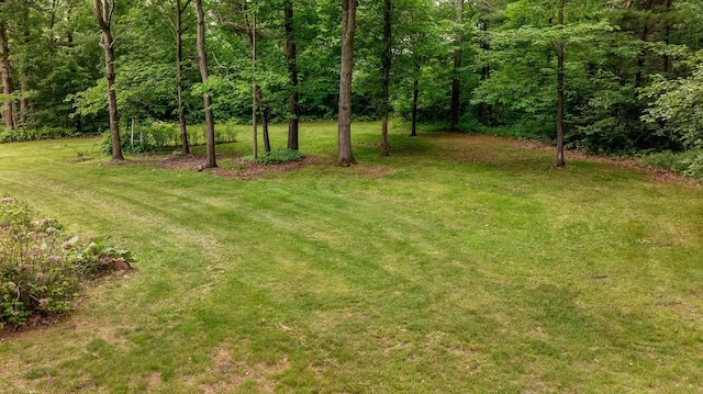 33087 Elm Ln, Motley, MN 56466 - view of green lawn with a forest view