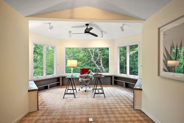 8335 Virginia Ave S, Bloomington, MN 55438 - office space with ceiling fan and lofted ceiling