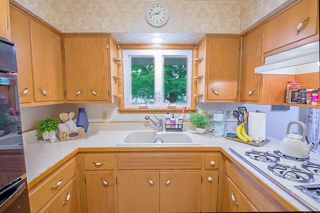 905 24th Ave N, Saint Cloud, MN 56303 - kitchen with white gas stovetop, light countertops, and open shelves