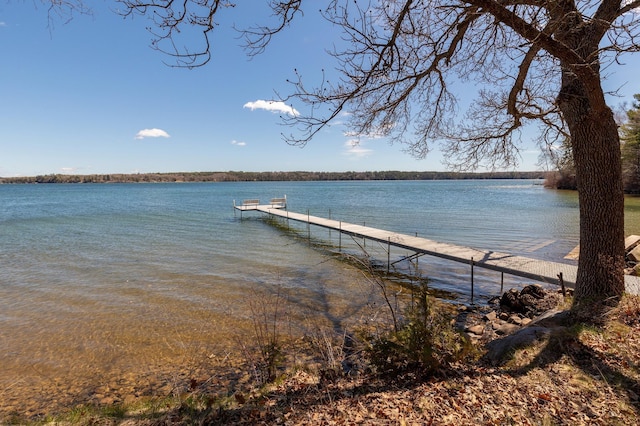 7520 Trophy Trl NW, Walker, MN 56484 - dock area with a water view