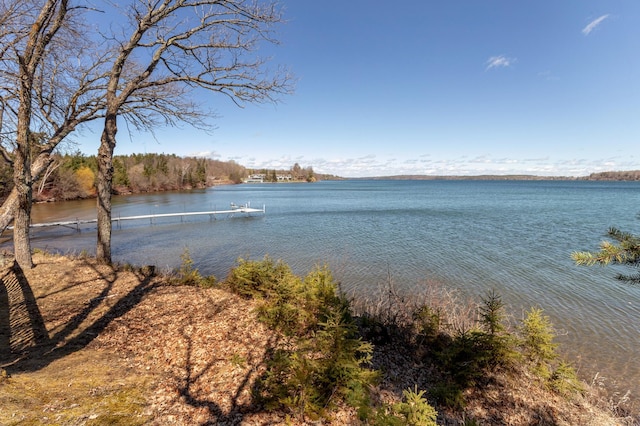 7520 Trophy Trl NW, Walker, MN 56484 - water view