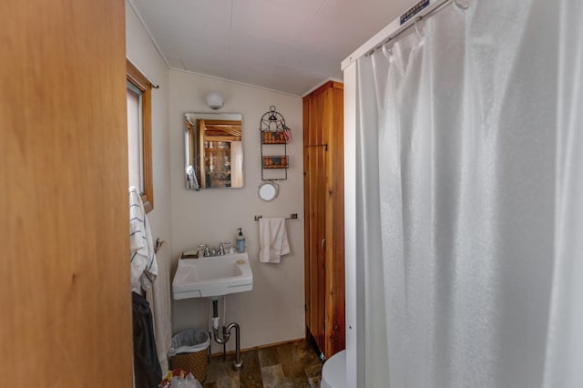 7520 Trophy Trl NW, Walker, MN 56484 - full bath with wood finished floors and curtained shower