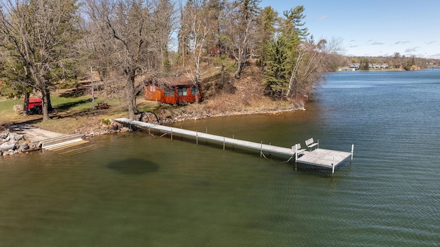 7520 Trophy Trl NW, Walker, MN 56484 - dock with a water view