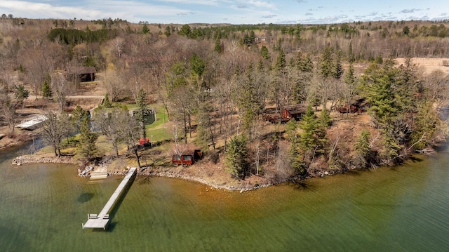 7520 Trophy Trl NW, Walker, MN 56484 - drone / aerial view of a large body of water