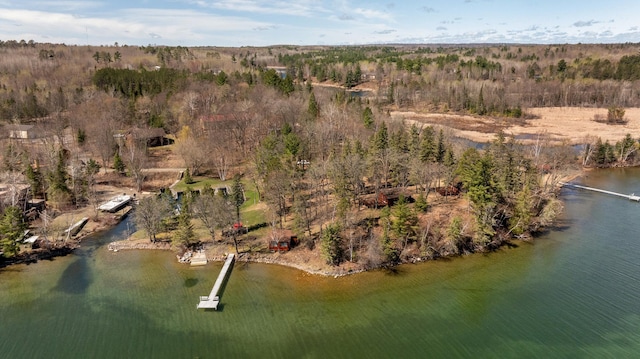 7520 Trophy Trl NW, Walker, MN 56484 - aerial view of property and surrounding area with a large body of water and a forest