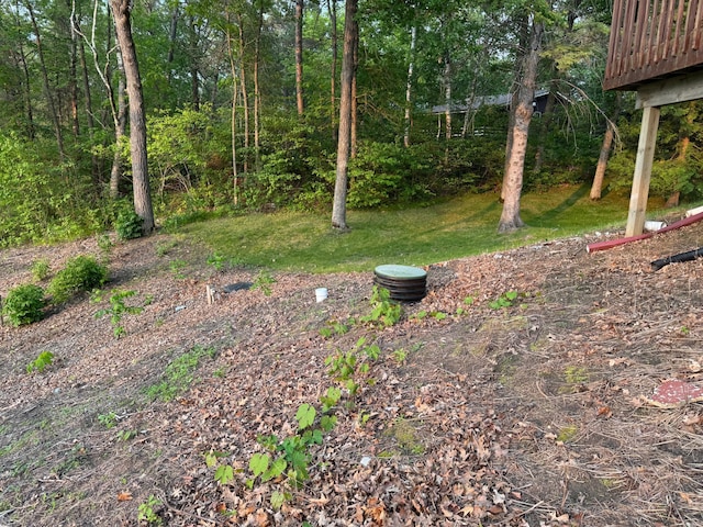 7520 Trophy Trl NW, Walker, MN 56484 - view of yard with a wooden deck