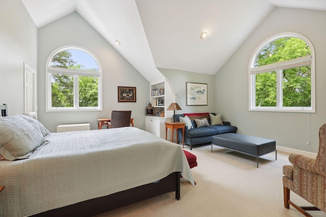 11155 Mill Run, Minnetonka, MN 55305 - carpeted bedroom featuring high vaulted ceiling