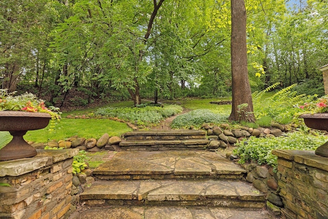 11155 Mill Run, Minnetonka, MN 55305 - view of yard