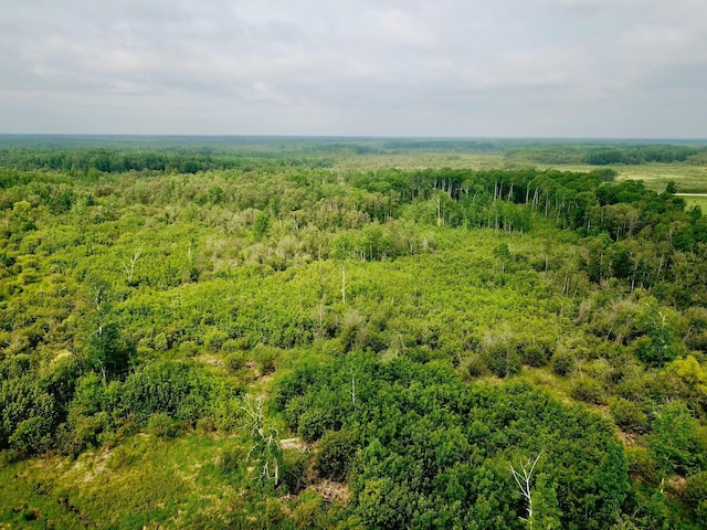 3274 County Road 1 SW, Boone Twp, MN 56623 - drone / aerial view of a forest