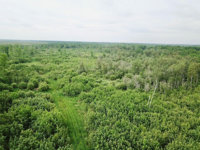 3274 County Road 1 SW, Boone Twp, MN 56623 - bird's eye view of a forest