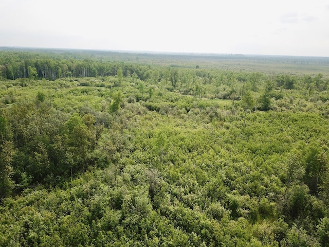 3274 County Road 1 SW, Boone Twp, MN 56623 - drone / aerial view of a forest