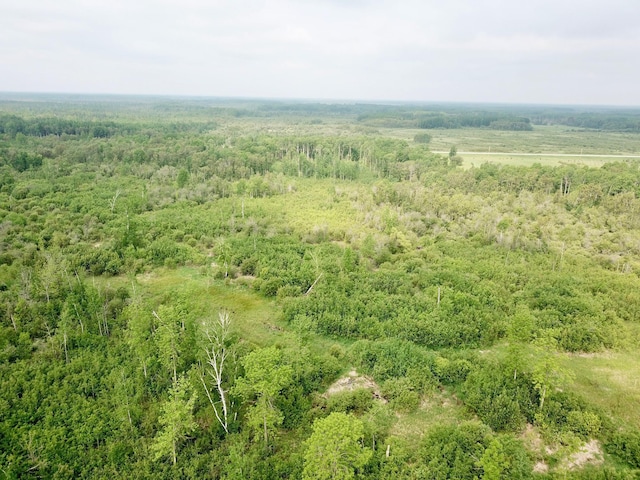 3274 County Road 1 SW, Boone Twp, MN 56623 - bird's eye view of a heavily wooded area