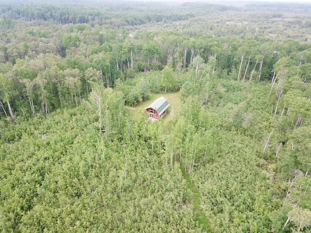 3274 County Road 1 SW, Boone Twp, MN 56623 - view of subject property featuring a heavily wooded area