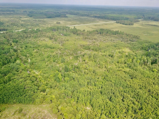 3274 County Road 1 SW, Boone Twp, MN 56623 - bird's eye view of a forest