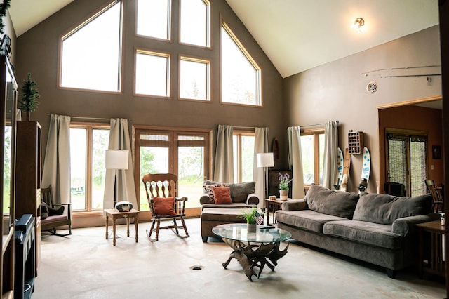 10804 Splithand Rd, Wildwood Twp, MN 55744 - living room featuring high vaulted ceiling and plenty of natural light