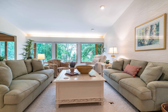 28647 State Highway 78, Otter Tail Twp, MN 56515 - living area with plenty of natural light, vaulted ceiling, and light carpet