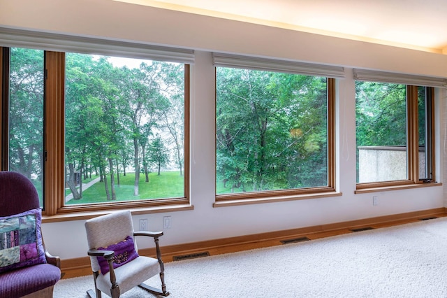 28647 State Highway 78, Otter Tail Twp, MN 56515 - living area with healthy amount of natural light and carpet flooring