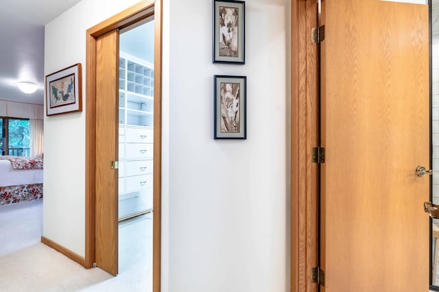 28647 State Highway 78, Otter Tail Twp, MN 56515 - corridor featuring carpet and baseboards