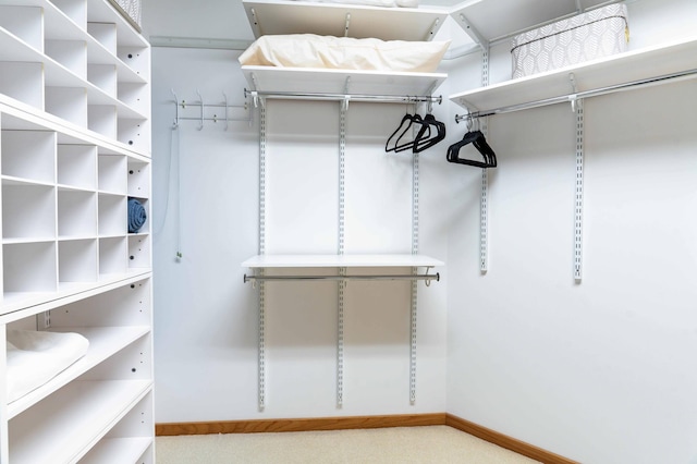 28647 State Highway 78, Otter Tail Twp, MN 56515 - view of walk in closet