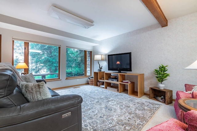 28647 State Highway 78, Otter Tail Twp, MN 56515 - carpeted living room with plenty of natural light and beamed ceiling