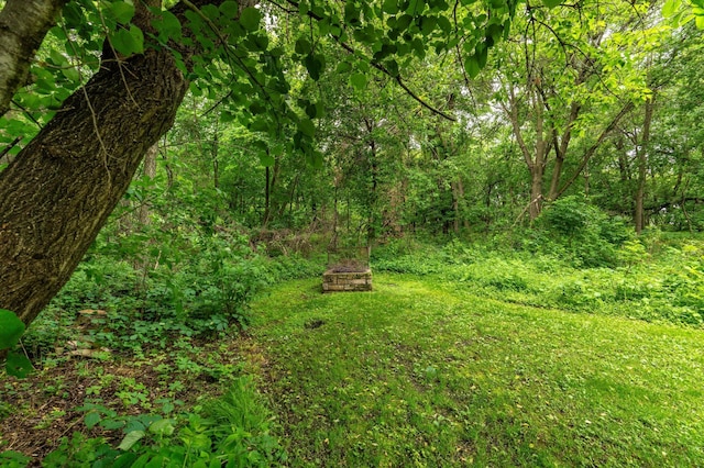 28647 State Highway 78, Otter Tail Twp, MN 56515 - view of yard with a view of trees