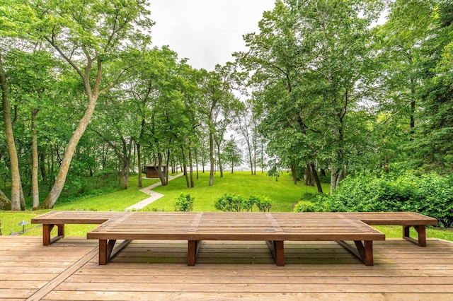 28647 State Highway 78, Otter Tail Twp, MN 56515 - wooden terrace featuring a yard