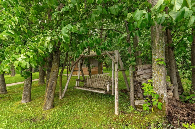 28647 State Highway 78, Otter Tail Twp, MN 56515 - view of green lawn