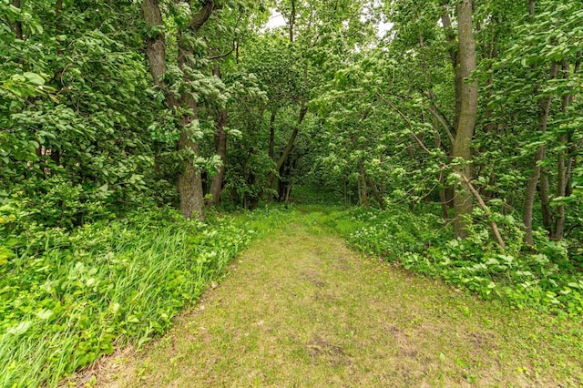 28647 State Highway 78, Otter Tail Twp, MN 56515 - view of tree filled area