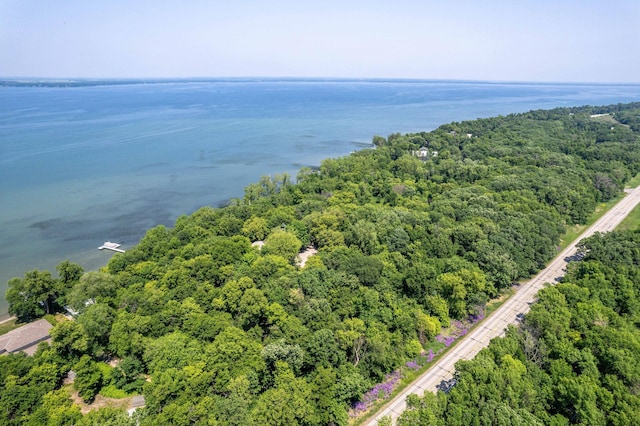 28647 State Highway 78, Otter Tail Twp, MN 56515 - bird's eye view of a forest and a nearby body of water