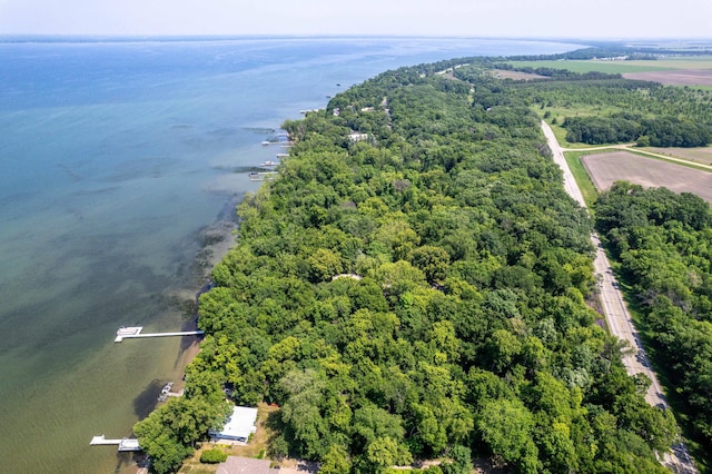 28647 State Highway 78, Otter Tail Twp, MN 56515 - bird's eye view of a heavily wooded area and a nearby body of water