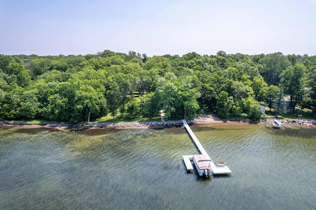 28647 State Highway 78, Otter Tail Twp, MN 56515 - water view with a forest