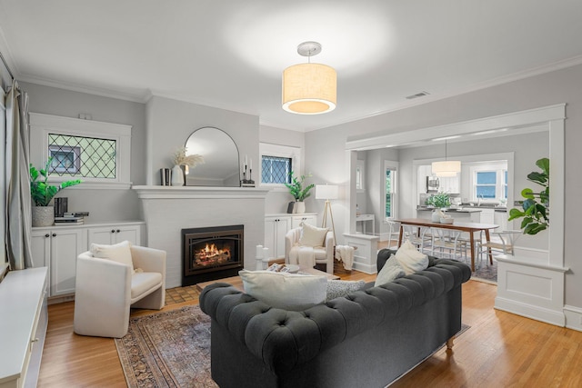 141 Rustic Ldg W, Minneapolis, MN 55419 - living area featuring light wood-type flooring, a fireplace, and crown molding