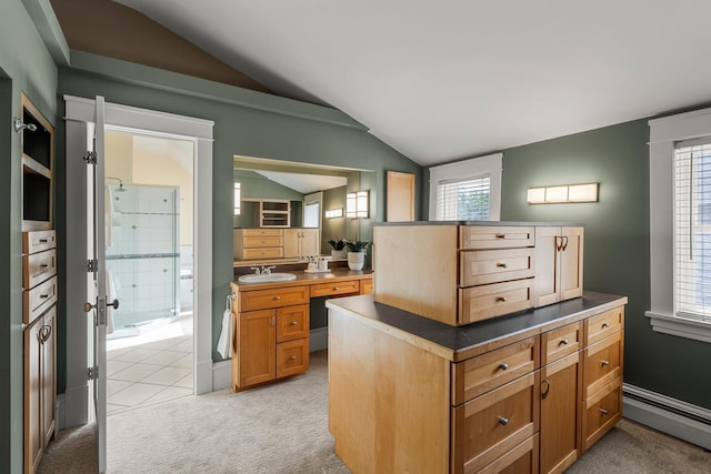 141 Rustic Ldg W, Minneapolis, MN 55419 - office area featuring lofted ceiling, a baseboard radiator, light carpet, and plenty of natural light