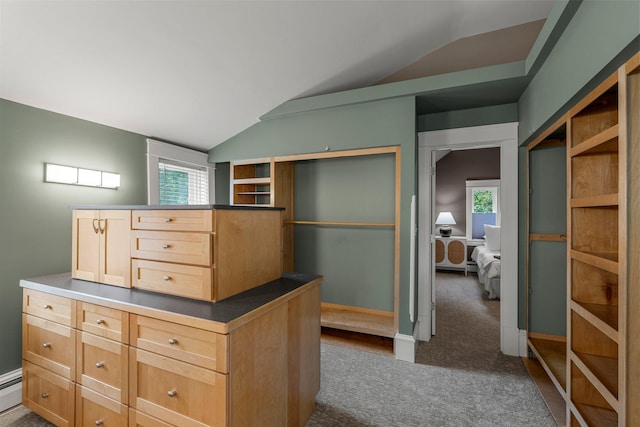 141 Rustic Ldg W, Minneapolis, MN 55419 - spacious closet with vaulted ceiling, dark colored carpet, and baseboard heating