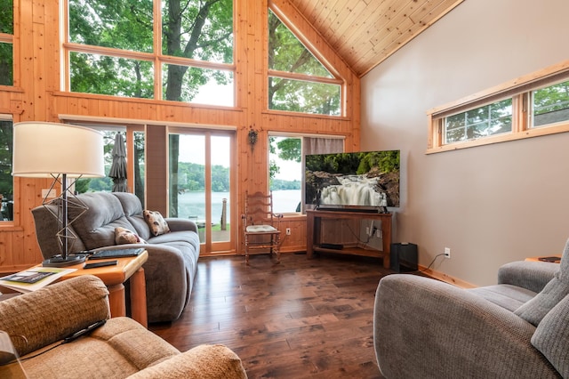 12088 Sylvan Dr SW, Pillager, MN 56473 - living area featuring high vaulted ceiling, dark wood-type flooring, wood ceiling, and wooden walls