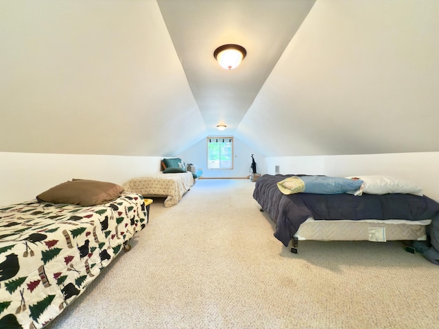 12088 Sylvan Dr SW, Pillager, MN 56473 - bedroom featuring carpet and lofted ceiling