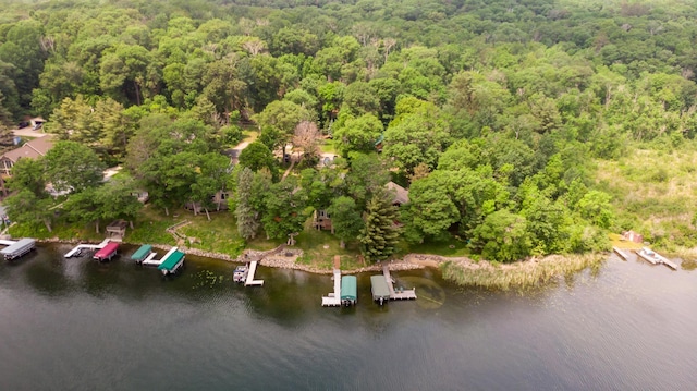 12088 Sylvan Dr SW, Pillager, MN 56473 - bird's eye view of a heavily wooded area and a large body of water