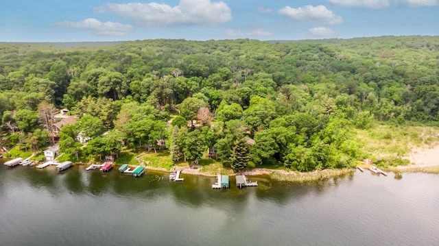 12088 Sylvan Dr SW, Pillager, MN 56473 - drone / aerial view of a forest and a nearby body of water