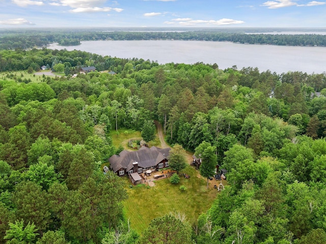 34800 Blueberry Bay Rd, Pequot Lakes, MN 56472 - photo 50