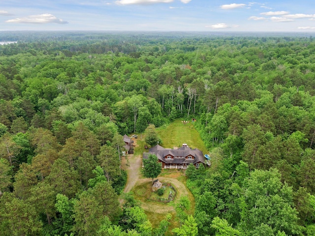 34800 Blueberry Bay Rd, Pequot Lakes, MN 56472 - photo 53